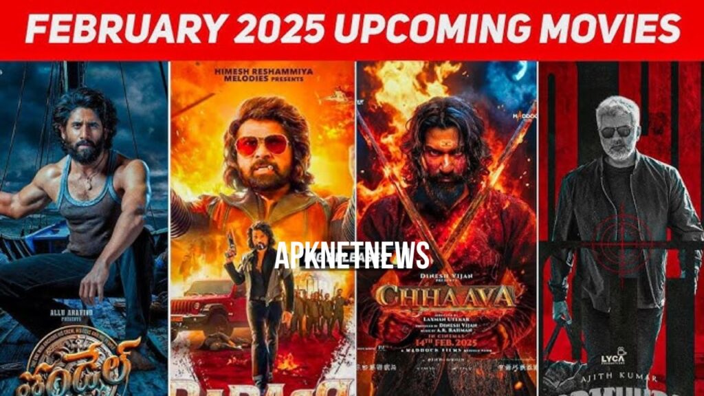 New Hindi Movies to Watch in 2025
