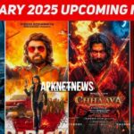 New Hindi Movies to Watch in 2025